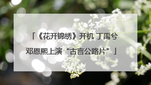 《花开锦绣》开机 丁禹兮邓恩熙上演“古言公路片”