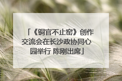《铜官不止窑》创作交流会在长沙政协同心园举行 陈刚出席