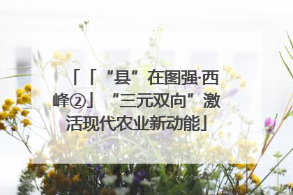 「“县”在图强·西峰②」“三元双向”激活现代农业新动能