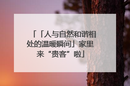 「人与自然和谐相处的温暖瞬间」家里来“贵客”啦