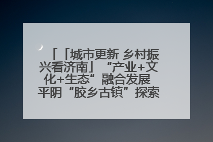 「城市更新 乡村振兴看济南」“产业+文化+生态”融合发展 平阴“胶乡古镇”探索振兴路径成效显著