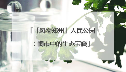 「风物郑州」人民公园：闹市中的生态宝藏