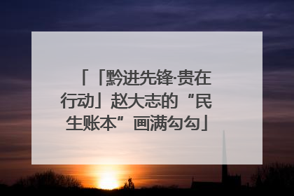 「黔进先锋·贵在行动」赵大志的“民生账本”画满勾勾