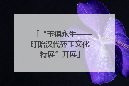 “玉得永生——盱眙汉代葬玉文化特展”开展