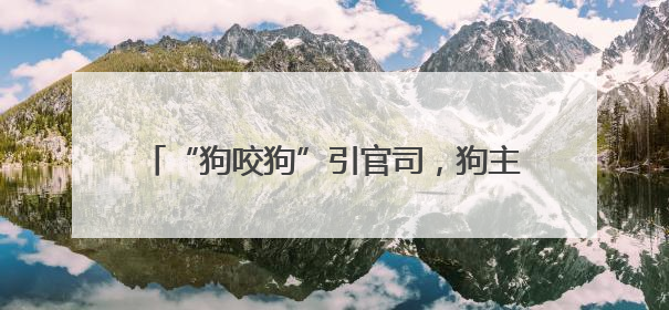 “狗咬狗”引官司，狗主人屡次不牵狗绳担全责