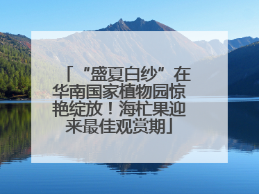 “盛夏白纱”在华南国家植物园惊艳绽放！海杧果迎来最佳观赏期