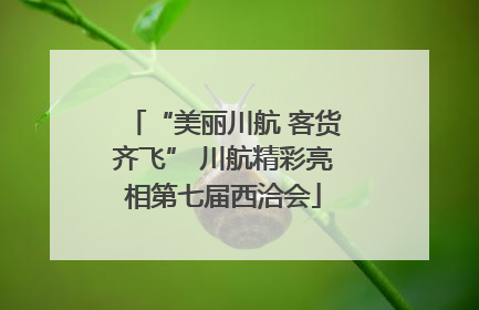 “美丽川航 客货齐飞” 川航精彩亮相第七届西洽会
