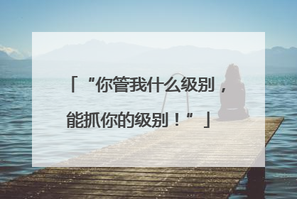 “你管我什么级别，能抓你的级别！”