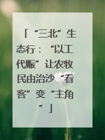 “三北”生态行：“以工代赈”让农牧民由治沙“看客”变“主角”
