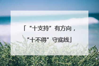 “十支持”有方向，“十不得”守底线