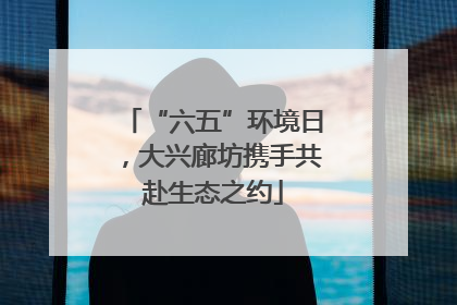 “六五”环境日，大兴廊坊携手共赴生态之约