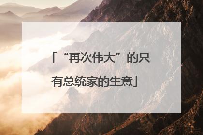 “再次伟大”的只有总统家的生意