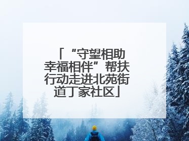 “守望相助 幸福相伴”帮扶行动走进北苑街道丁家社区