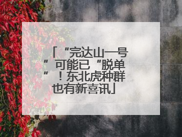 “完达山一号”可能已“脱单”！东北虎种群也有新喜讯