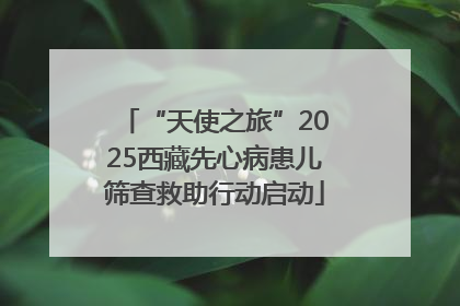 “天使之旅”2025西藏先心病患儿筛查救助行动启动