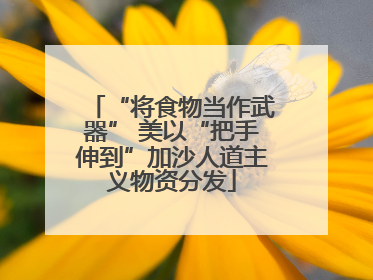 “将食物当作武器” 美以“把手伸到”加沙人道主义物资分发