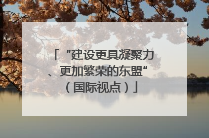 “建设更具凝聚力、更加繁荣的东盟”（国际视点）