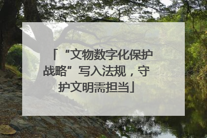 “文物数字化保护战略”写入法规，守护文明需担当
