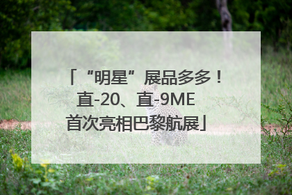 “明星”展品多多！直-20、直-9ME首次亮相巴黎航展