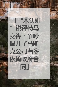 “木头姐”锐评特马交锋：争吵揭开了马斯克公司有多依赖政府合同