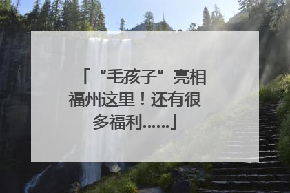 “毛孩子”亮相福州这里！还有很多福利……