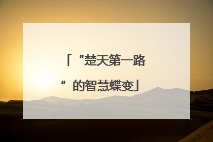“楚天第一路”的智慧蝶变