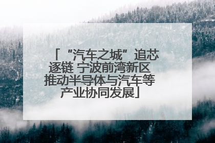 “汽车之城”追芯逐链 宁波前湾新区推动半导体与汽车等产业协同发展