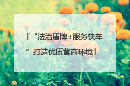 “法治盾牌+服务快车”打造优质营商环境
