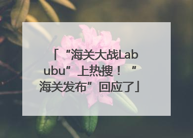 “海关大战Labubu”上热搜！“海关发布”回应了