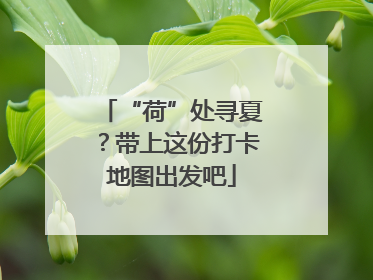 “荷”处寻夏？带上这份打卡地图出发吧