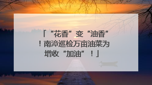 “花香”变“油香”！南漳巡检万亩油菜为增收“加油”！