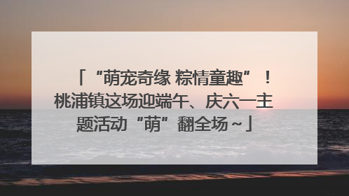 “萌宠奇缘 粽情童趣”！桃浦镇这场迎端午、庆六一主题活动“萌”翻全场～