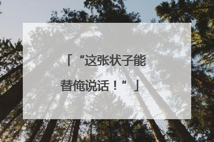 “这张状子能替俺说话！”
