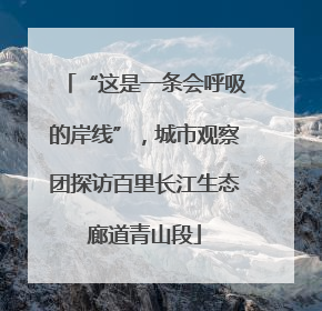 “这是一条会呼吸的岸线”，城市观察团探访百里长江生态廊道青山段