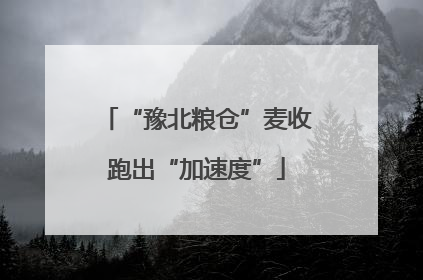 “豫北粮仓”麦收跑出“加速度”