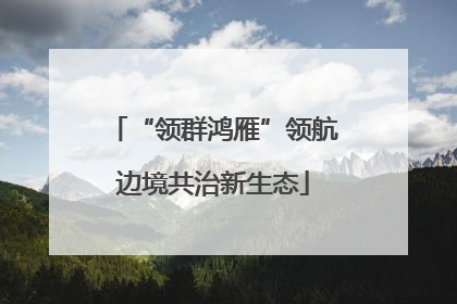 “领群鸿雁”领航边境共治新生态