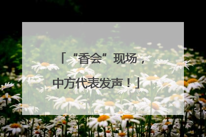 “香会”现场，中方代表发声！