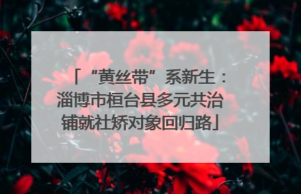 “黄丝带”系新生：淄博市桓台县多元共治铺就社矫对象回归路