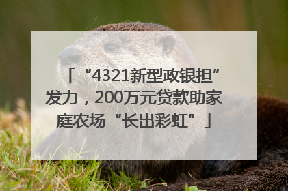 “4321新型政银担”发力，200万元贷款助家庭农场“长出彩虹”
