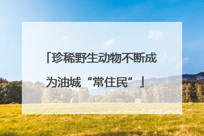 珍稀野生动物不断成为油城“常住民”