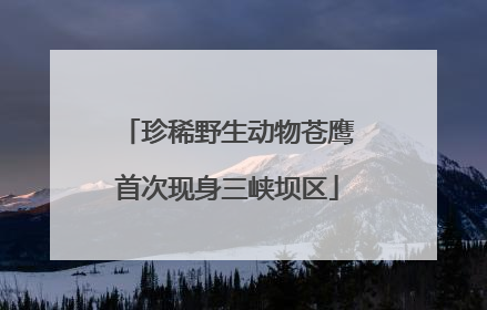 珍稀野生动物苍鹰首次现身三峡坝区