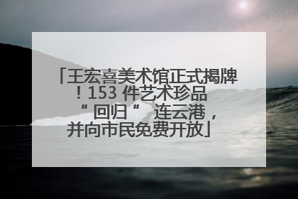 王宏喜美术馆正式揭牌！153 件艺术珍品 “ 回归 ” 连云港，并向市民免费开放