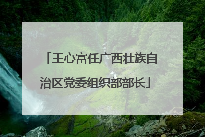 王心富任广西壮族自治区党委组织部部长