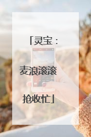 灵宝：麦浪滚滚抢收忙