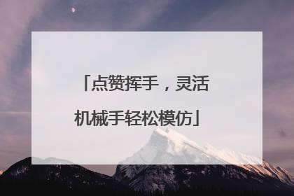 点赞挥手，灵活机械手轻松模仿