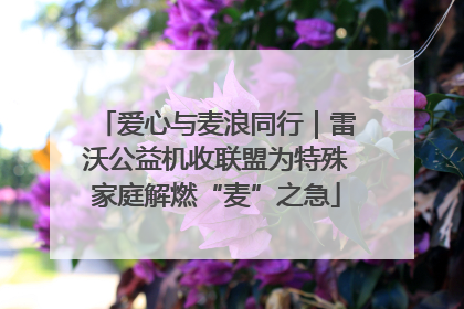 爱心与麦浪同行｜雷沃公益机收联盟为特殊家庭解燃“麦”之急