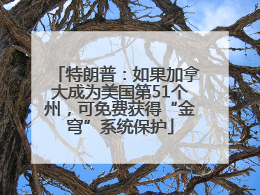 特朗普：如果加拿大成为美国第51个州，可免费获得“金穹”系统保护