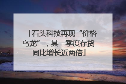 石头科技再现“价格乌龙”，其一季度存货同比增长近两倍