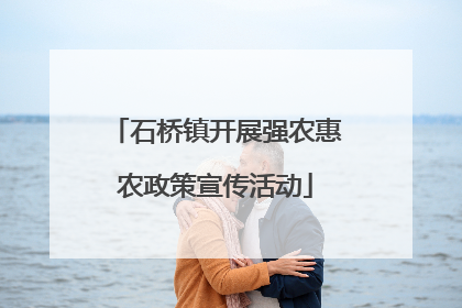 石桥镇开展强农惠农政策宣传活动
