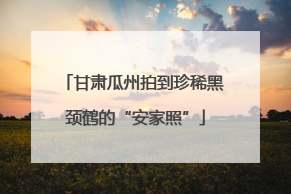 甘肃瓜州拍到珍稀黑颈鹤的“安家照”